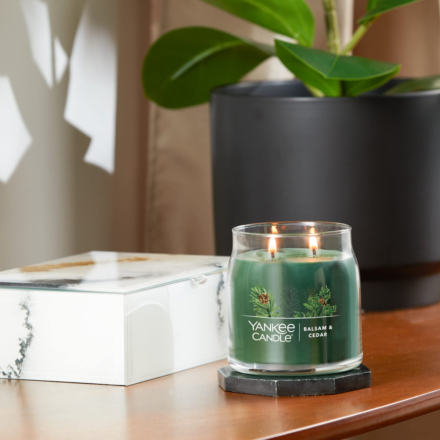 Yankee Candle Balsam & Cedar Scented Signature 13oz Medium Jar 2-Wick Candle Over 35 Hours of Burn Time Christmas | Holiday