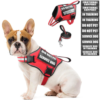 MOOGROU Service Dog Vest Harness and Leash Set+10 Patches,No Pull&Adjustable Reflective Dog Harness with Soft Padded Handle for Training/Everyday,Fit Small/Medium/Large/Extra-Large Dogs (Red S)