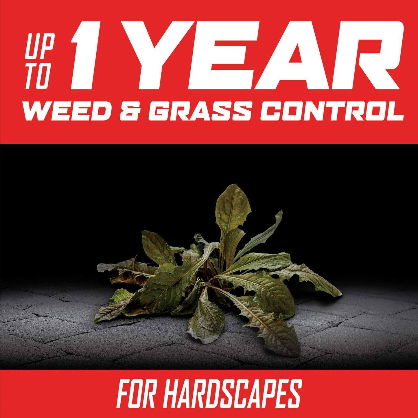 Ortho GroundClear Year Long Vegetation Killer1 Concentrate, Kills Weeds and Grasses, Prevents Unwanted Weeds and Grasses for up to 1 Year, 1 gal.