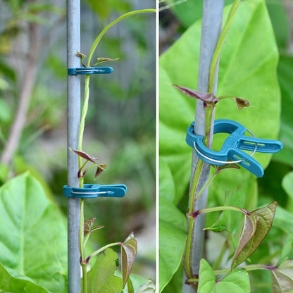 PERSZEN Plant Clips - 60PCS Adjustable Reusable Garden Supports for Flowers, Vines & Vegetables