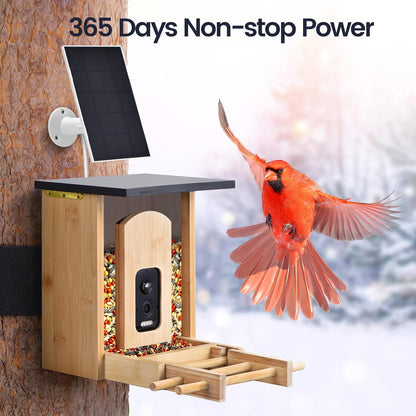 Skiennix Smart Bird Feeder - 2K HD Camera with AI Bird Identification & Solar Power | Bamboo Design