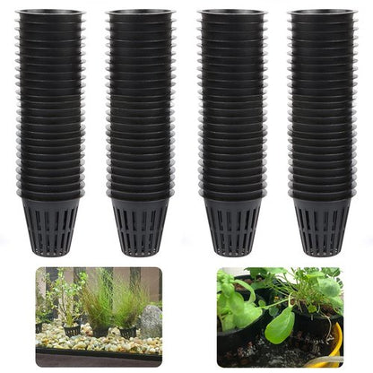 IPXEAD 50PCS 2 Inch Garden Slotted Mesh Net Cups, Round Heavy Duty Net Cups Pots for, Hydroponics Slotted Mesh