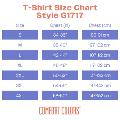 Comfort Colors Adult Short Sleeve Tee, Style G1717, Black (1-pack), Large