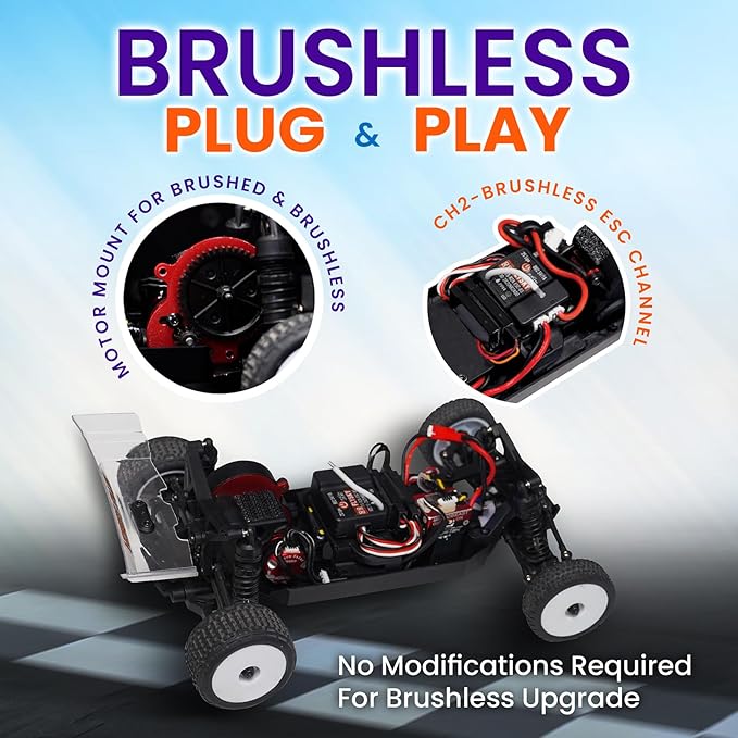 HOBBYPLUS Combo Speck B 1/24 2WD Buggy Mini RC Car w RADIANZ Hobby Plus Speck-B Nexo Airbrush Lexan Body - RTR RC Buggy Fast Mini Racing Buggy