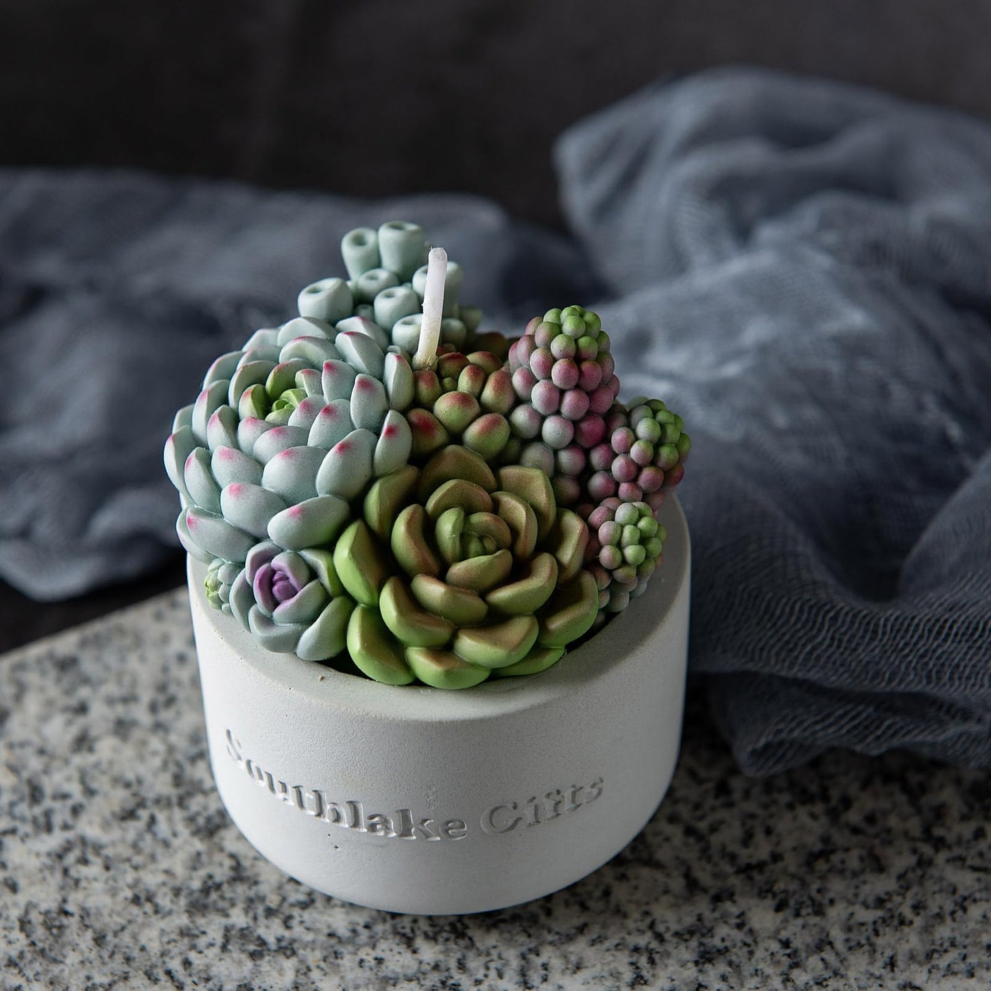 Assorted Succulent Pot Scented Vegetable Wax Candle for Spa Home Decoration Wedding Gift