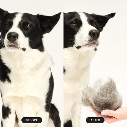 Pet Teezer De-Shedding Dog Brush by Tangle Teezer, Dog Grooming Tool for Long Haired Breeds and Wet or Dry Fur, Large, Purple & Gray