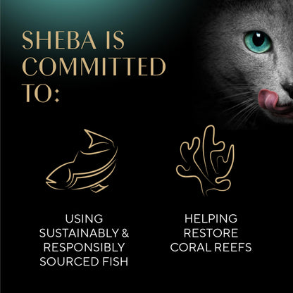 Sheba Perfect Portions Wet Cat Food Cuts in Gravy Variety Pack, Roasted Chicken Entree, with Sustainable Tuna, and Tender Turkey Entree, 2.6 oz. Twin-Pack Trays (36 Count, 72 Servings)