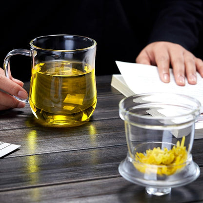 DOPUDO Glass Tea Cup with Infuser and Lid, 12oz/350ml Large Borosilicate Teacup, Clear Mug for Loose Leaf Tea, Birthday Gift for Tea Lover