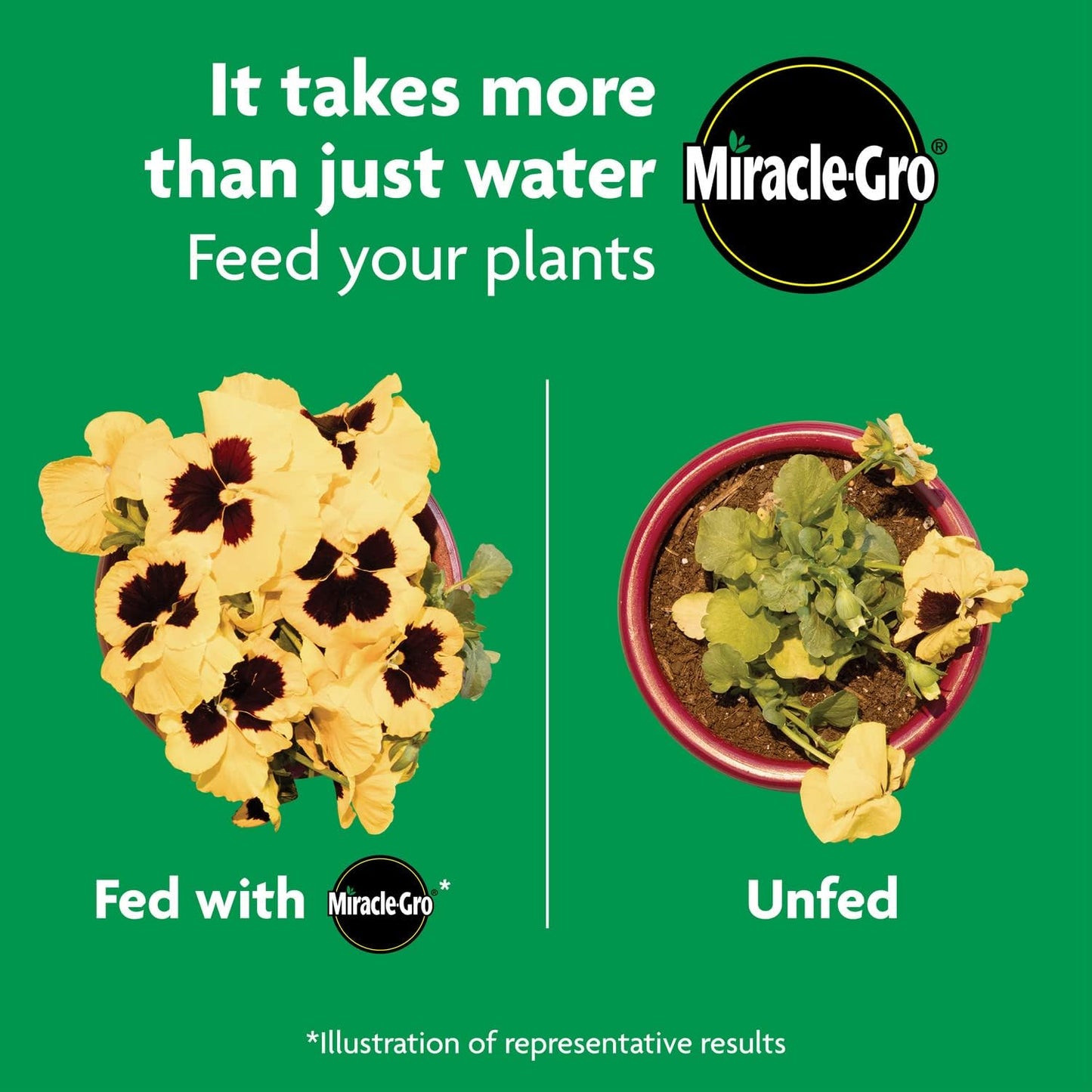Miracle-Gro All Purpose Plant Food - Feeds Indoor & Outdoor Plants for 3 Months, 4.5 lbs (Pack of 6)
