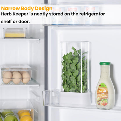 vacane Herb Keeper for Refrigerator, Fresh Herb Saver Herb Storage Containers, Cilantro Container for Fridge Asparagus Container, Dishwasher Safe