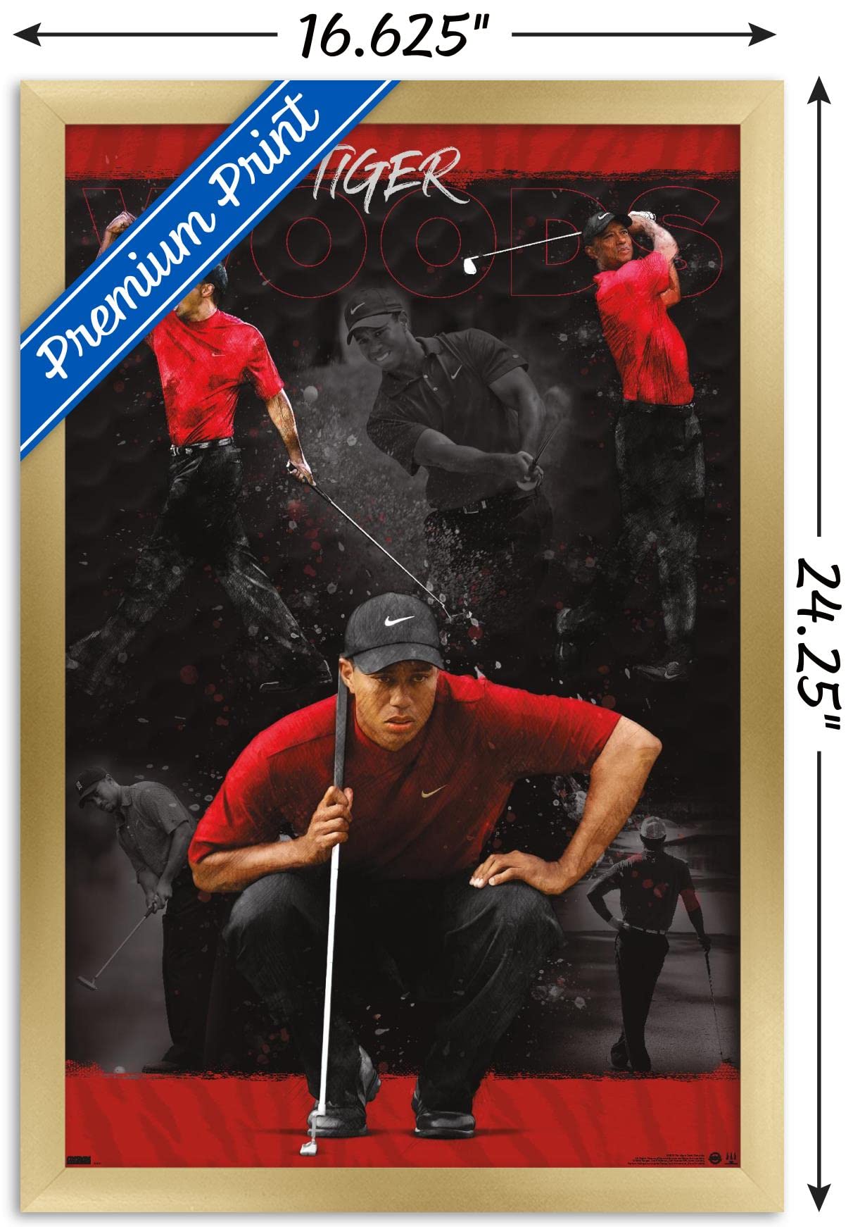 Trends International Tiger Woods - Sketch Wall Poster, 14.725" x 22.375", Gold Framed Version