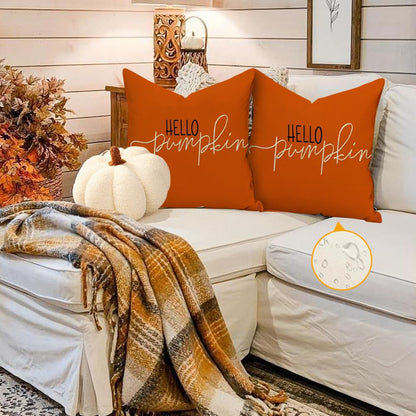 RABUSOFA Fall Pillow Covers - 18x18 Inch Waterproof Rust Hello Pumpkin Design | Autumn Harvest Decor