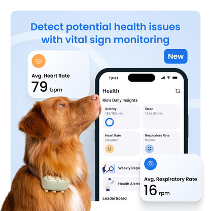 Tractive XL Smart Dog GPS Tracker | Live Pet Tracker with Virtual Fence | Vital Signs Monitoring of Heart & Respiratory Rate | Up to 1-Month Battery Life | Dog Collar Attachment (Green)