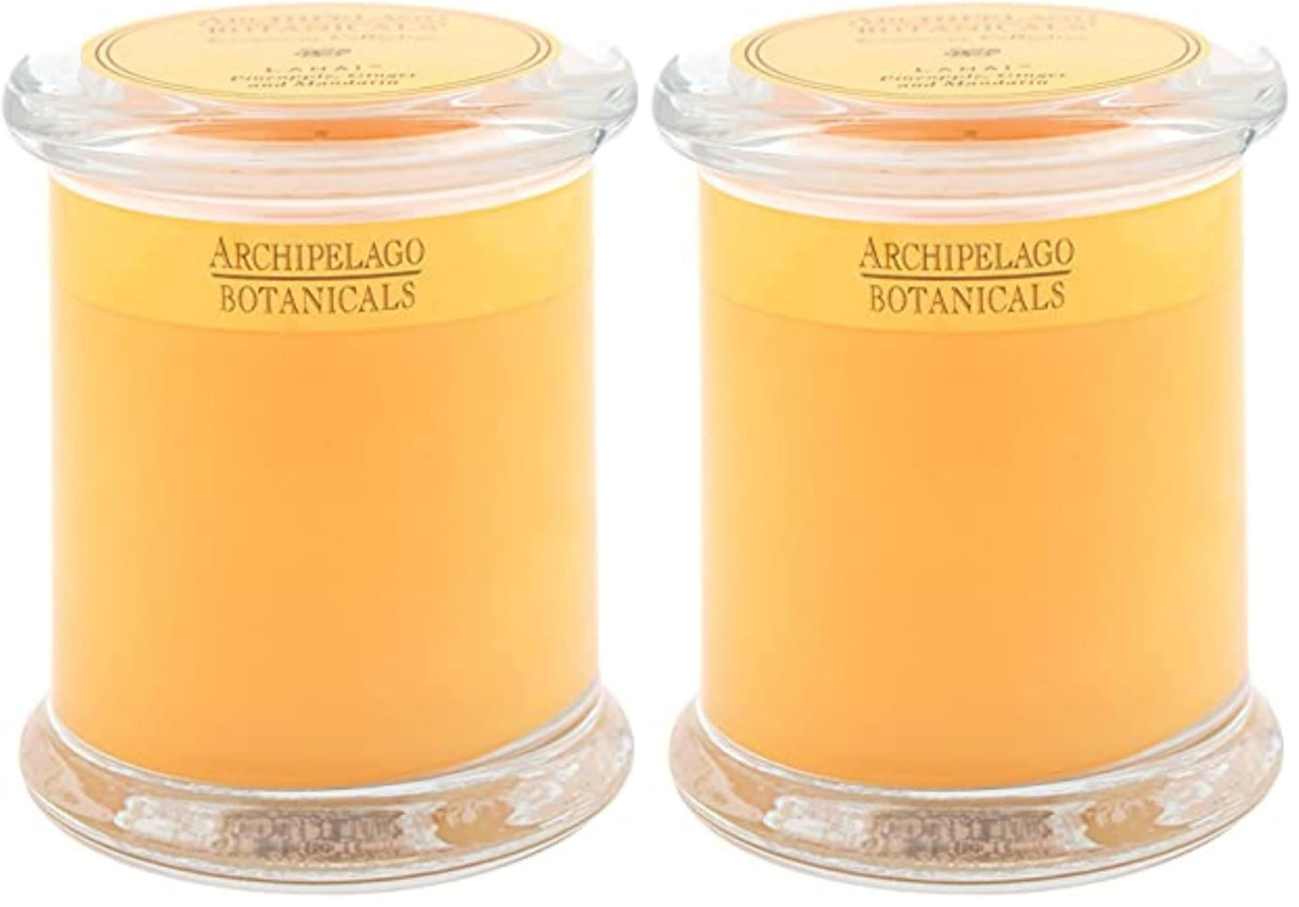 Archipelago Botanicals Lanai Glass Jar Candle, Pineapple, Mandarin and Ginger Scent, Lead-Free Candle Wicks, Burns Approx. 60 Hours (8.6 oz) (Pack of 2)