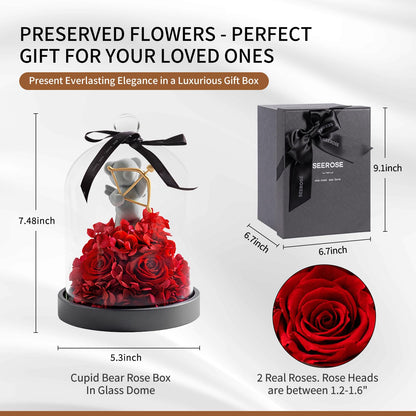 SEEROSE Preserved Roses in Glass with Cupid Rose Bear, Real Forever Rose with Elegant Gift Box, Cute Valentine's Day, Anniversary, Birthday Gift for Her Wife Girlfriend Mom (Cupid Bear, Red)