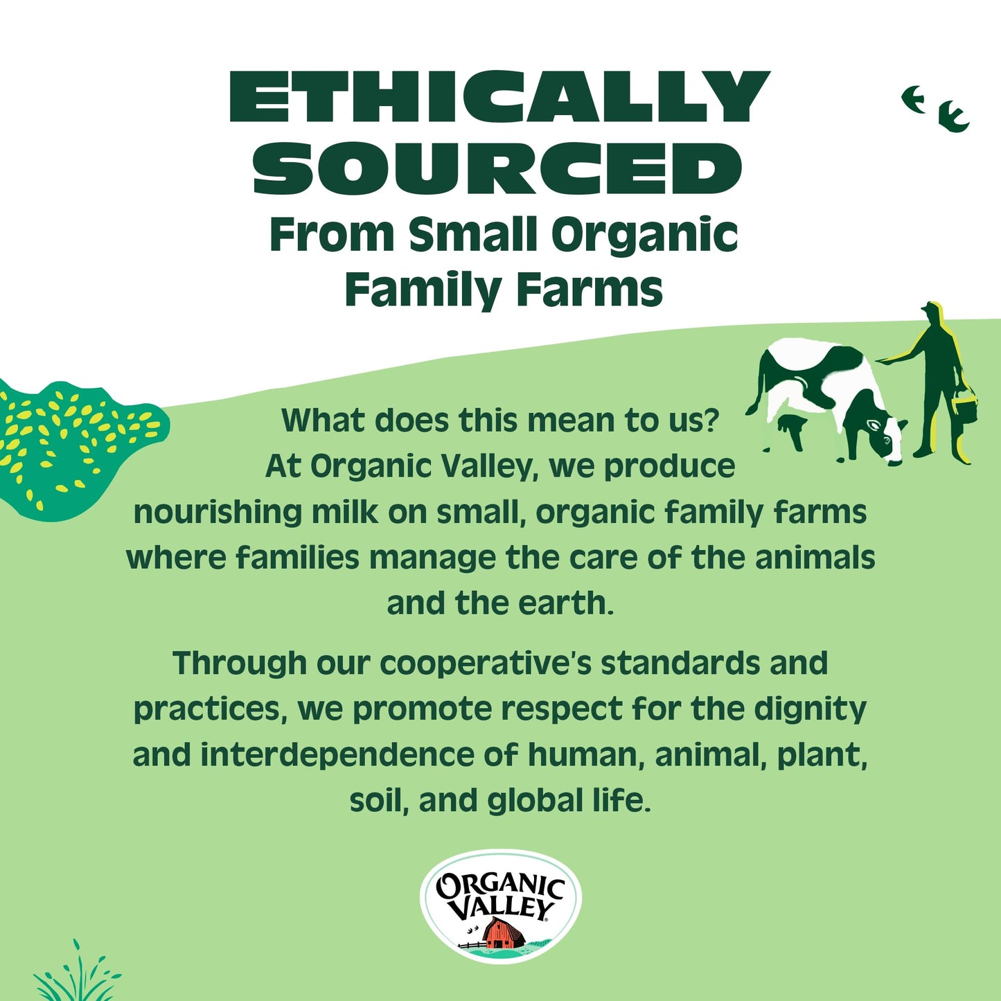 Organic Valley Alpine Style Organic Baby Swiss Cheese Slices