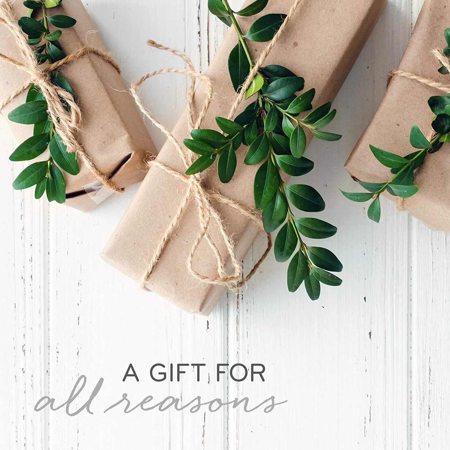 Thymes Frasier Fir Candles - Statement Collection - Silver with Pine Needle Design - Scented Candles for Home Decor - Notes of Siberian Fir Needles, Cedarwood & Sandalwood - 3 Wick (12.5 oz)