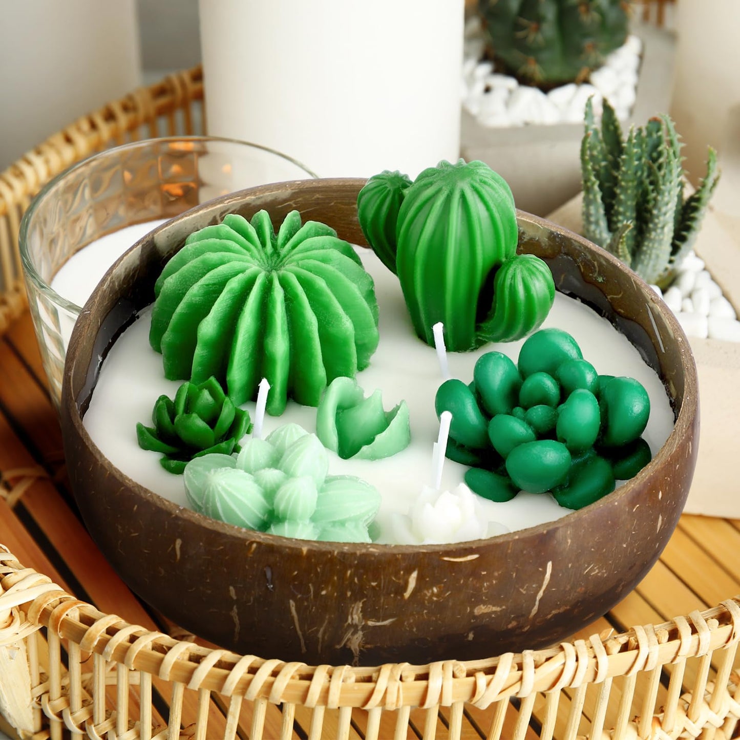 Conelist Succulent Cactus Scented Candle 5.9'' Coconut Scent for Home Wedding Spa Baby Shower Party