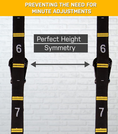 Double Circle Gymnastics Rings with Quick Adjust Numbered Straps and Exercise Videos Guide - Full Body Gym Rings - Calisthenics Rings Wooden Rings 1.25"