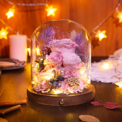 Large Preserved Flowers with Card&Box-Flowers for Delivery Prime,Eternal Rose with Lights,Roses in Glass Dome,Romantic Gift for Her,Decoration,Fresh Rose Flowers for Mom, Birthday, Anniversary (Pink)