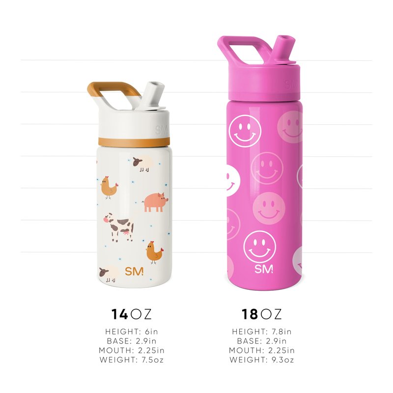 Simple Modern Kids Summit Water Bottle with Straw Lid |Bluey 14oz Stainless Steel Cup Insulated Tumbler for Kids, School | Bluey Bluetastic Day