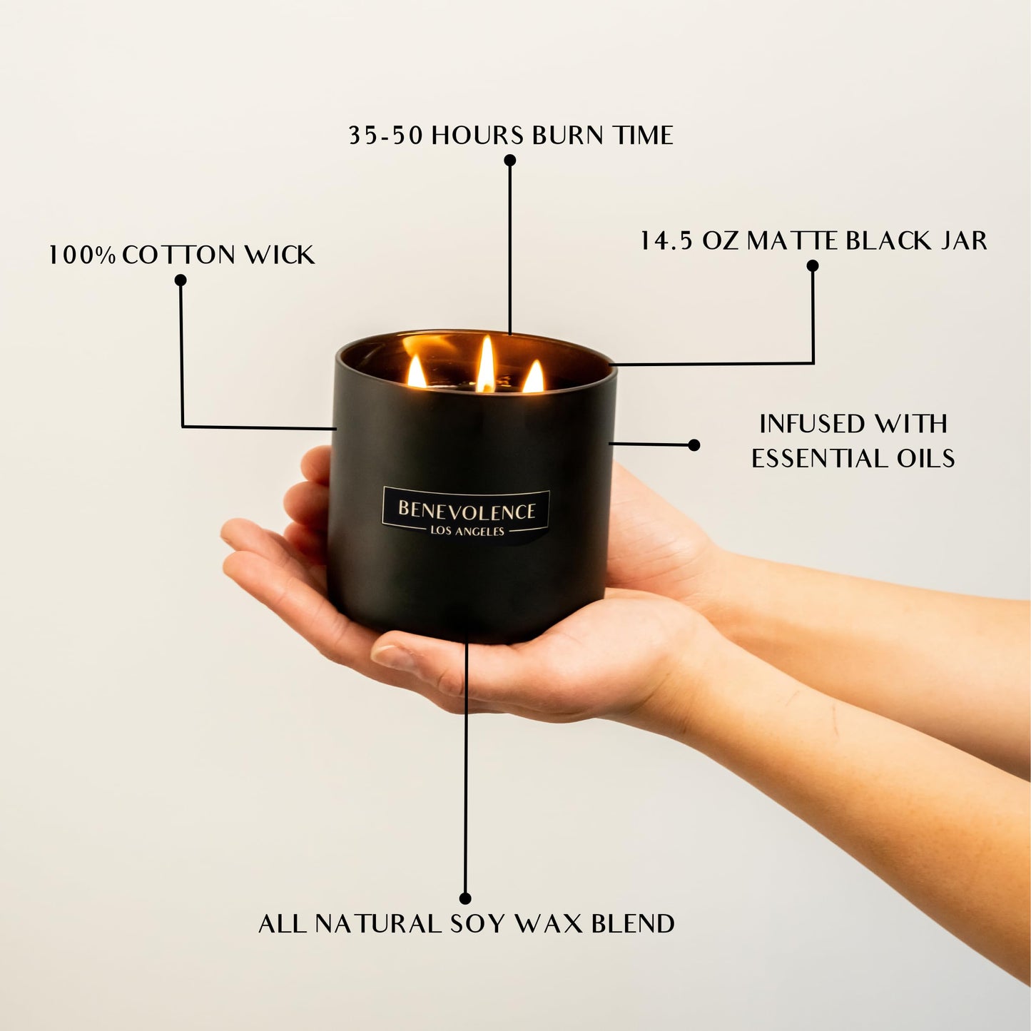 Benevolence LA 3 Wick Candle, Black Berries (Baies) Large Christmas Scented Candles | Soy Holiday Candle for Women and Men | Home Fragrance | Aromatherapy | Bathroom Freshener 14.5 Oz, 45 Hour Burn