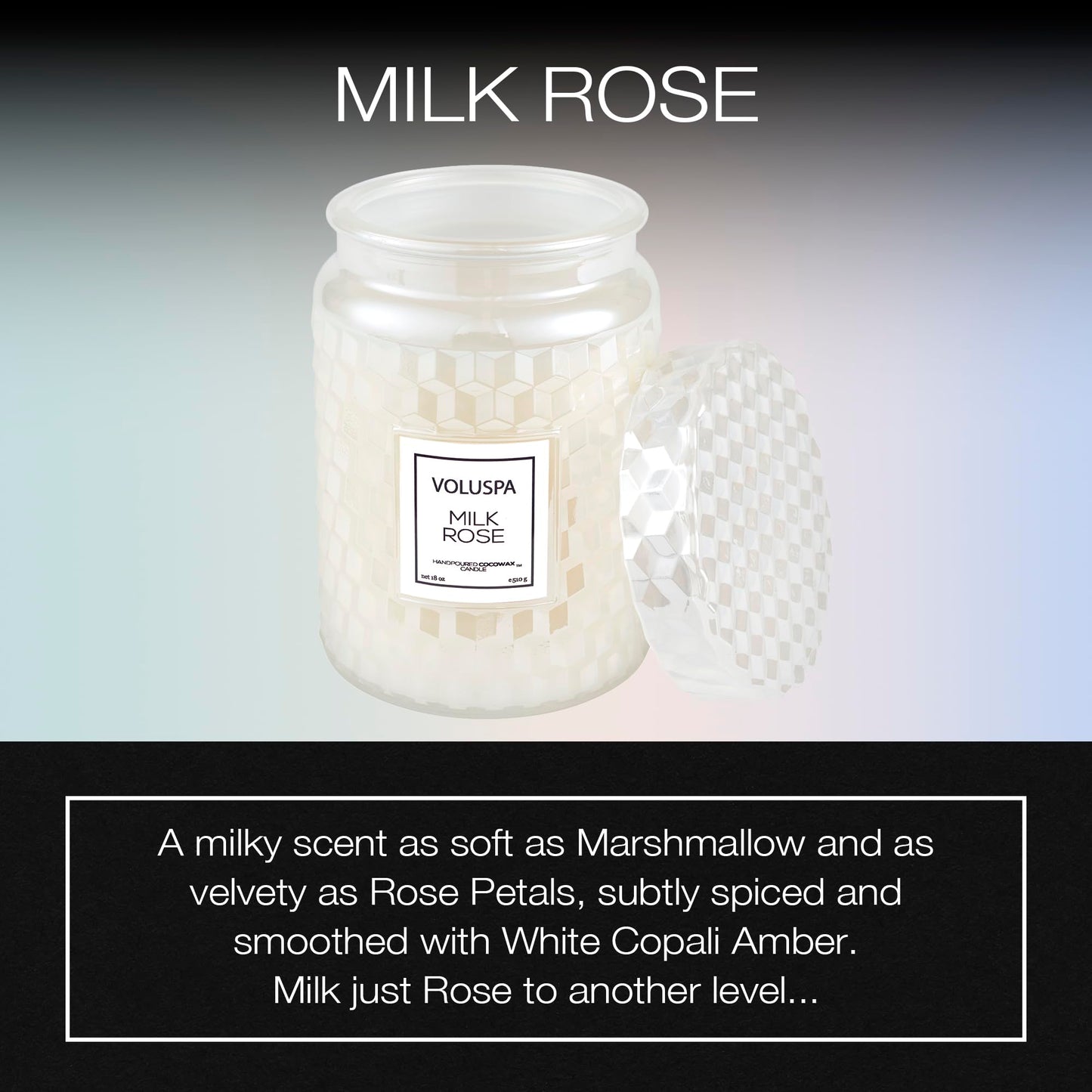 Voluspa Milk Rose, Large Candle Jar, 18 Ounce, 100 Hour Burn Time, Coconut Wax for Clean Burning, Handcrafted in the USA