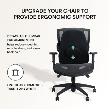ObusForme Lowback Backrest Support – Lower Back Padded Seat Cushion and Lumbar Support Pillow, Portable Posture Support with Soft and Durable Foam