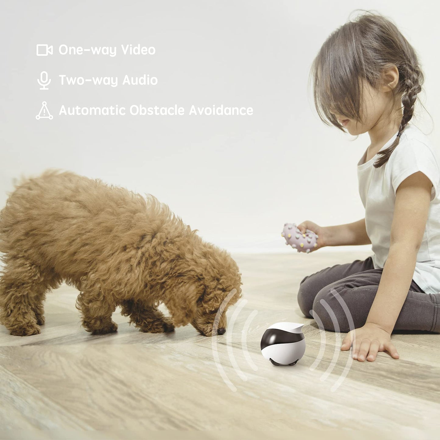 Enabot EBO SE FamilyBot Home Camera Robot: 1080P Movable Pet Camera Indoor, Battery-Operated, Auto-Recharge, Night Vision, 2-Way Talk, Local Storage, APP Control