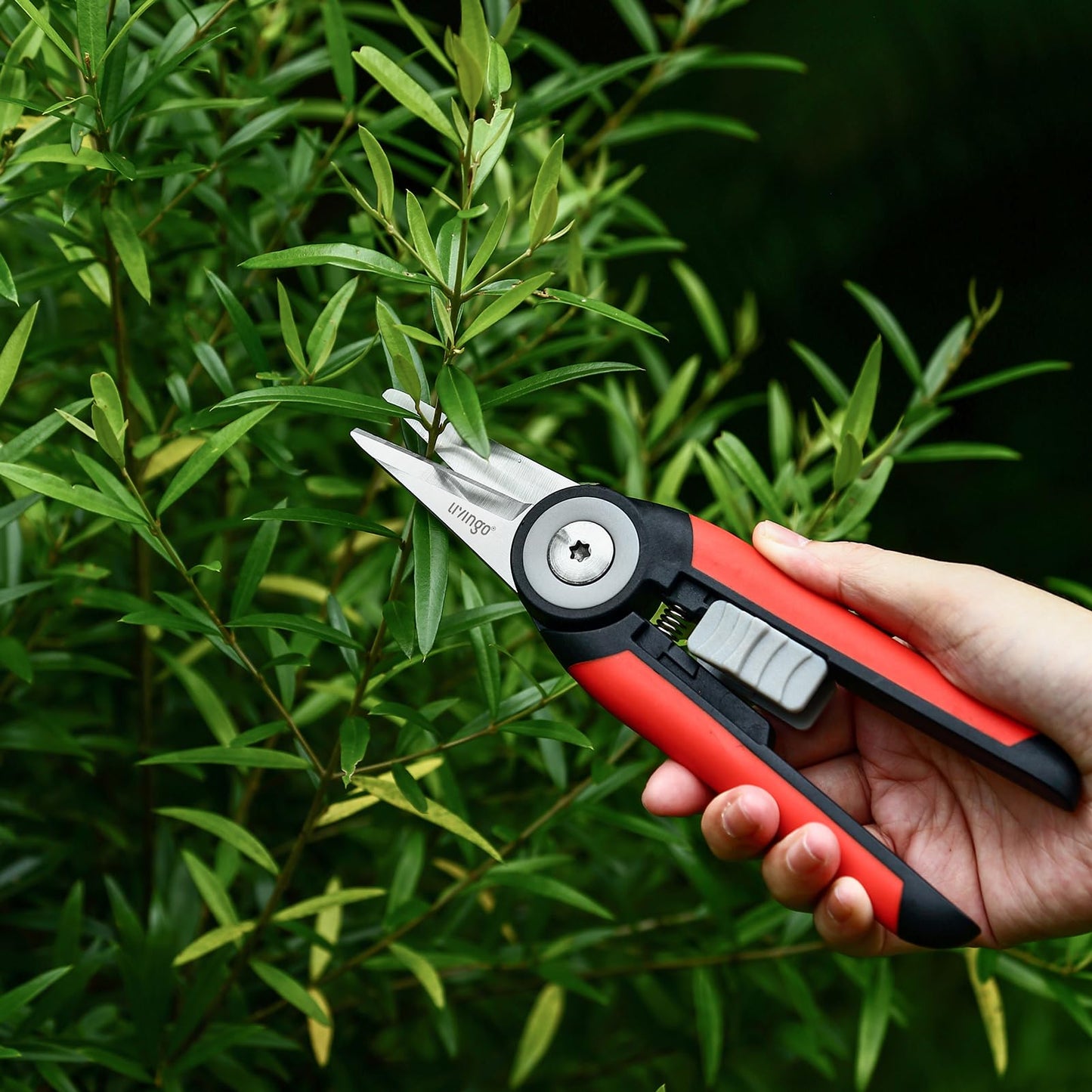 LIVINGO Precision Garden Pruning Shears - Straight Blade Floral Scissors with Non-Slip Handle for Trimming, 8.5" Gardening Clippers for Flowers, Herbs, Bonsai & Indoor Plants