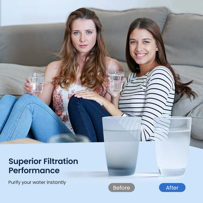 GLACIER FRESH Replacement Filter for Maximum Under Sink System, Compatible with 4US-MAXL-S01 System,2 Packs
