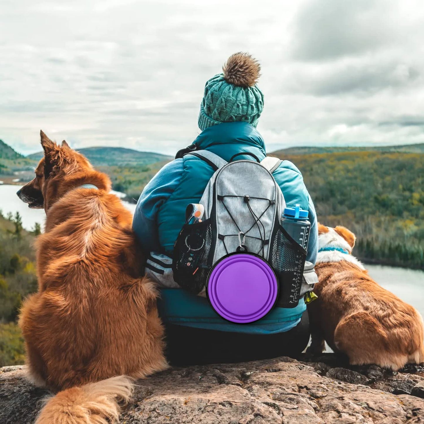 Collapsible Dog Bowls-2 Pack Large Size for Large/Medium Dogs, Pet Travel Water Bowl, Dogs Cat Portable Water Bowl, Dog Pet Feeding Watering Dish Outdoor Hiking Parking Traveling with 2 Carabiners