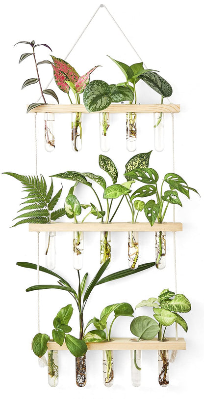 Mkono 3 Tiered Wall Hanging Plant Terrarium with Wooden Stand, Glass Planter for Hydroponic Plant Cutting, Home Garden Office Decor, Gift