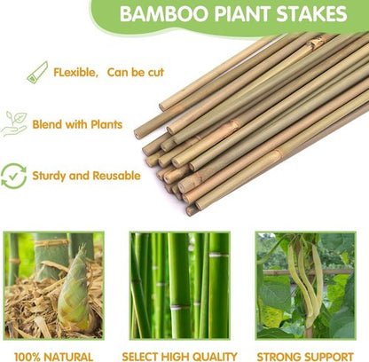 GAGINANG Bamboo Garden Stakes - 3FT Sturdy Natural Support for Climbing Plants | 25 Pcs Set