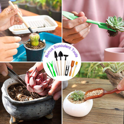 Tudoccy Garden Tools Set 83 Piece, Succulent Tools Set Included, Heavy Duty Aluminum Gardening Tools for Gardening, Non-Slip Ergonomic Handle, Durable Storage Tote Bag, Gifts for Men Women