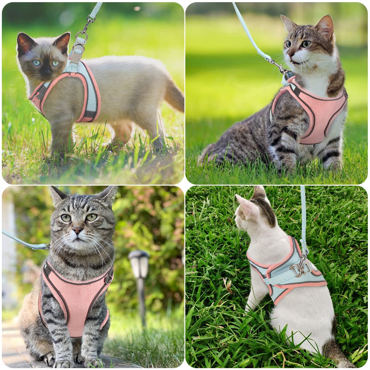 ORIA Pet Harness, Dog Harness, Cat Harness and Leash Set, Breathable Pet Vest, Reflective Strips Jacket for Small Kitten, Puppy, Rabbit, Pink and Blue, 6.6 to 11lb