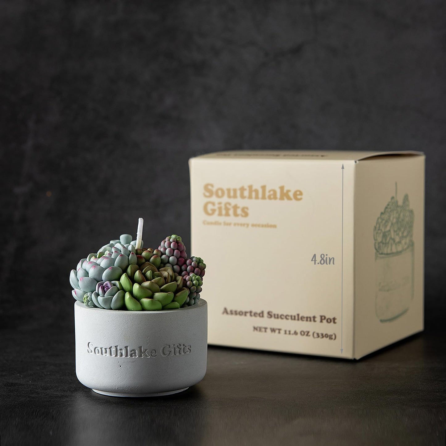 Assorted Succulent Pot Scented Vegetable Wax Candle for Spa Home Decoration Wedding Gift