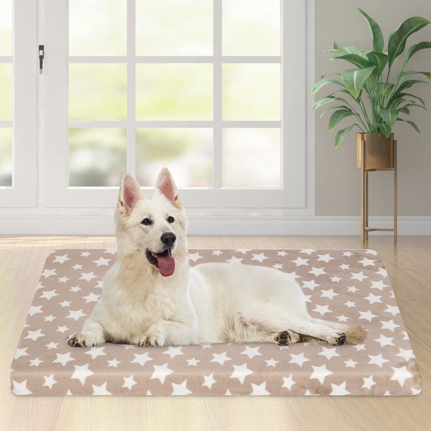 EMPSIGN Supportive Dog Bed (122x76x7.6cm), Dog Crate Mat Reversible (Cool & Warm), Removable Washable Cover, Waterproof Liner & High Density Foam, Pet Bed Mattress for Small to XX-Large Dogs, Beige, Star