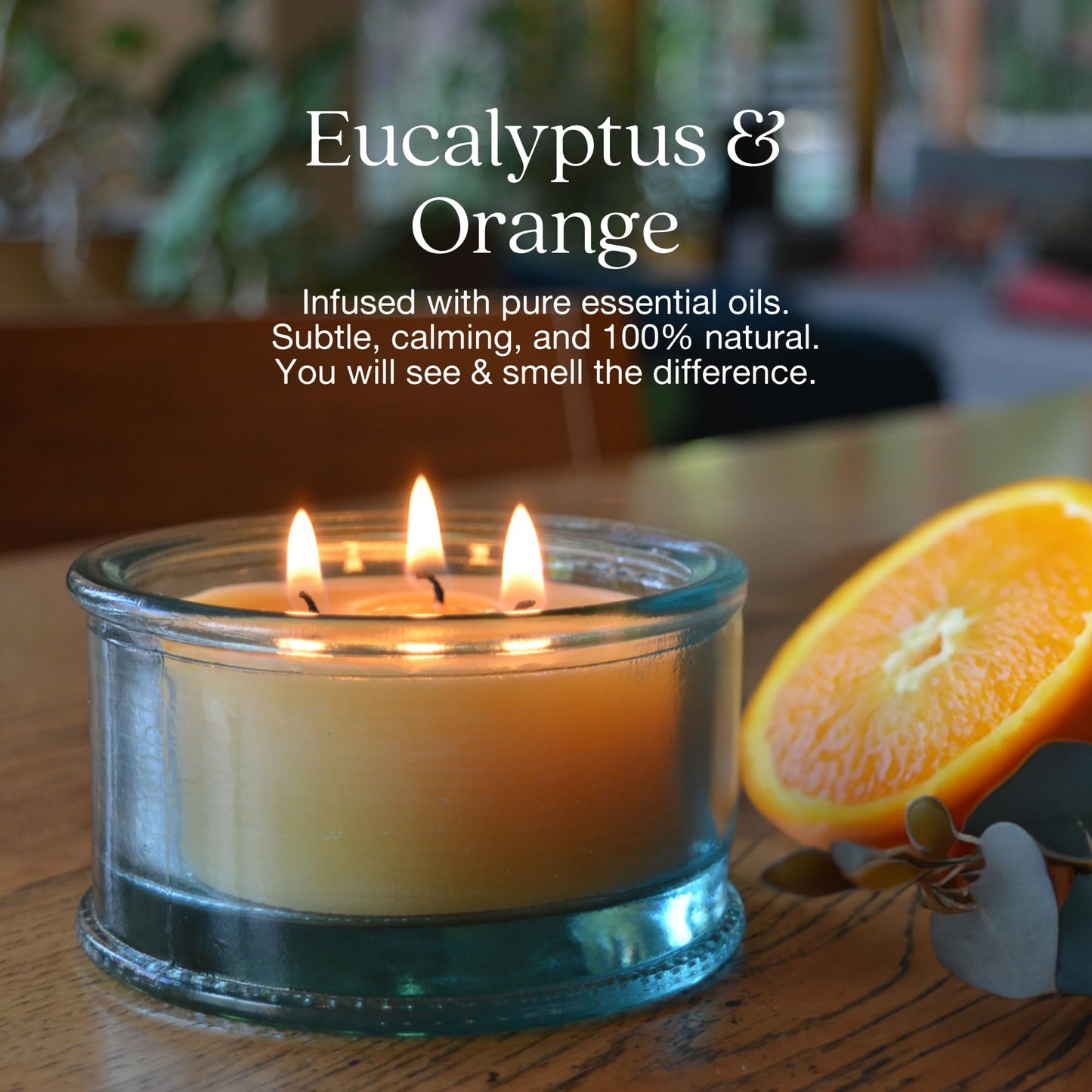 Bluecorn Botanica Beeswax 3-Wick Candle – Eucalyptus & Orange, 100% Pure Beeswax & Essential Oils – 10oz Hand-Blown Recycled Spanish Glass – Non Toxic, Clean Burning, Refillable Glass Jar