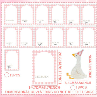 Pink One Silly Goose Photo Banner Silly Goose 1st Birthday Decor Girl for Newborn to 12 Months Picture Banner Goose First Birthday Party Supplies Monthly Milestones Frame