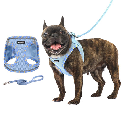 Rttochfy Small Dog Harness, Soft and Reflective Puppy Harness, Dog Harness and Leash Set for Small Size Dogs Training, Walking (Blue M)