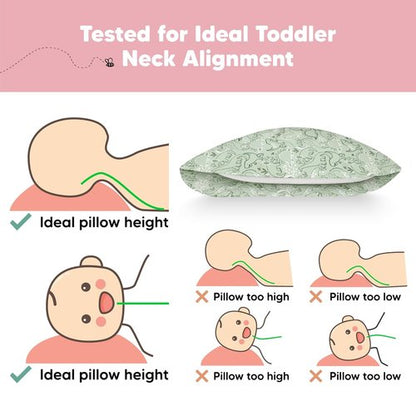 DinoDood Toddler Pillow - Soft & Breathable Organic Cotton Travel Pillowcase | 13x18 for Kids 2-5 Years