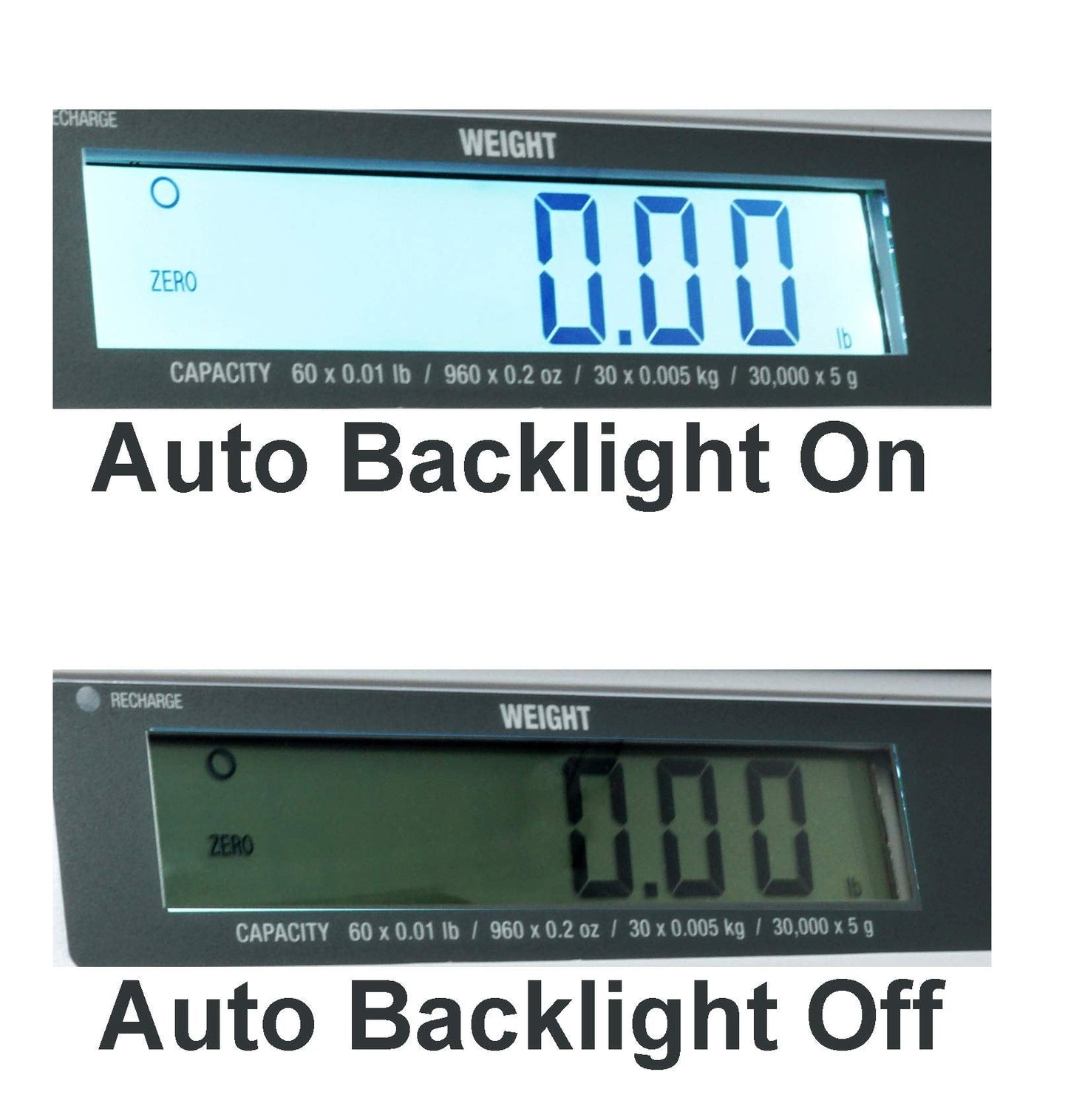 Easy Weigh PX 60 x 0.01 LB Capacity Digital Scale Rechargeable Battery Operated LCD Display Stainless Steel Platter KG Grams Ounces OZ Kitchen Deli Produce Electronic NTEP (PX-60)
