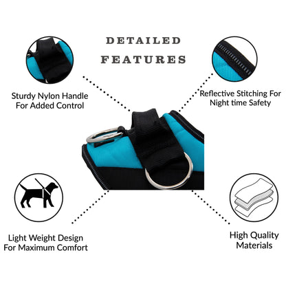 ShawnCo Essential Dog Harness, No-Pull Pet Vest with 3 Leash Clips, No Choke, Reflective, Adjustable and Padded, for Easy Walking and Training for Small, Medium and Large Dogs (Sunset Orange, M)