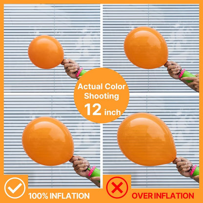 PartyWoo Orange Balloons 100pcs 12 Inch Fall Latex Helium Balloons for Birthday Baby Shower Graduation Tangerine Little Cutie Pumpkin Tropical Sunshine Boho Theme Party Decorations Orange-Y9