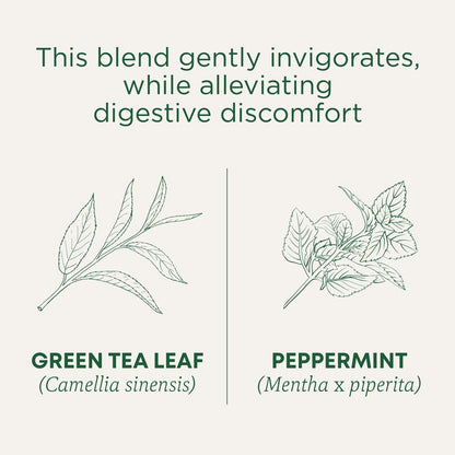 Traditional Medicinals Organic Green Tea, Peppermint - Promotes Healthy Digestion, Occasional Nausea & Indigestion Relief - Kosher, Non-GMO - 96 Teabags (Pack of 6)