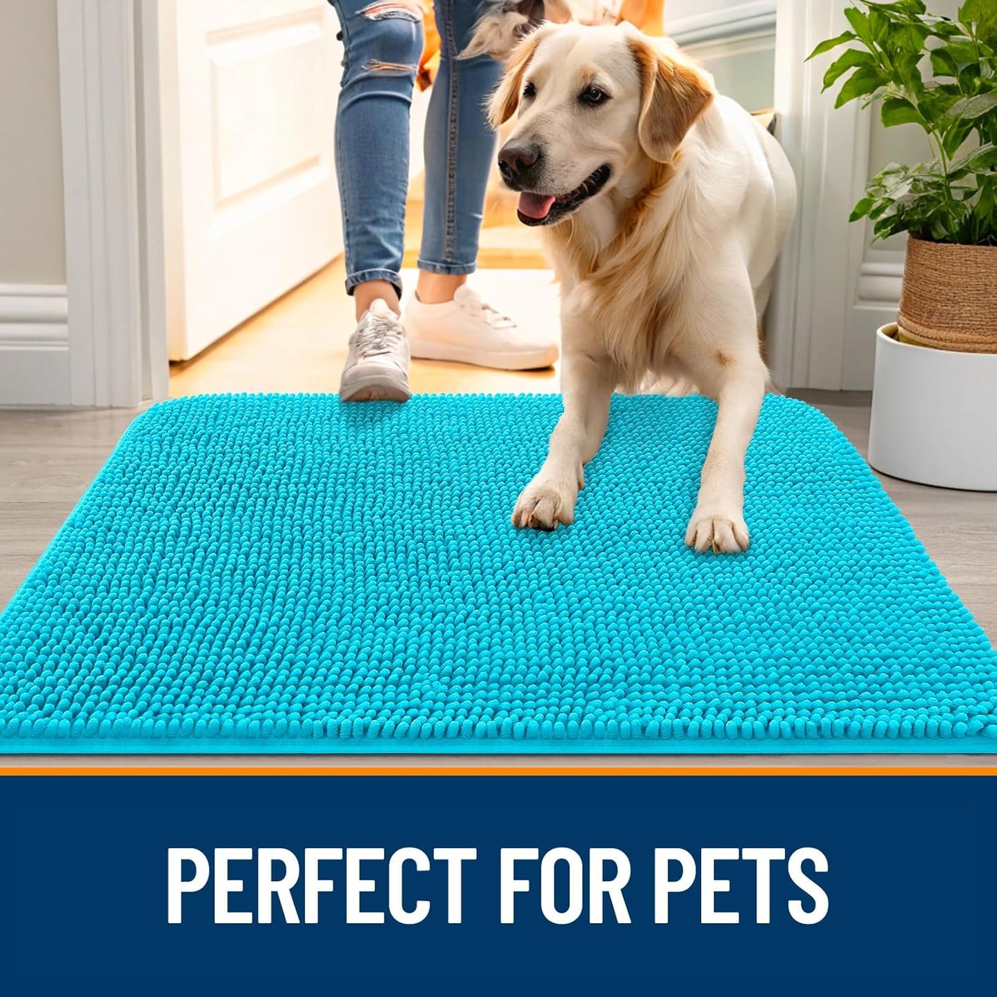 OLANLY Dog Door Mat - Absorbent Non-Slip Chenille Mud Mat for Indoor Use | 54x24, Aqua Blue