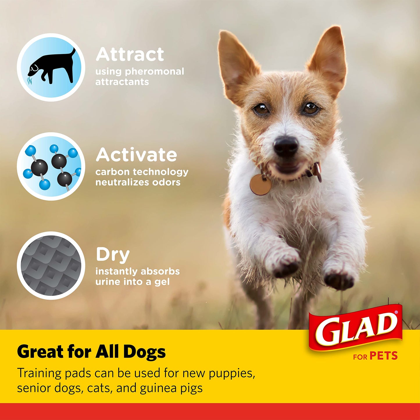 Glad for Pets Black Charcoal Puppy Pads, 23"x23" Disposable Pee Pad That Absorbs & Neutralizes Urine Instantly, Activated Carbon Training Pads For Dogs - 100 Count
