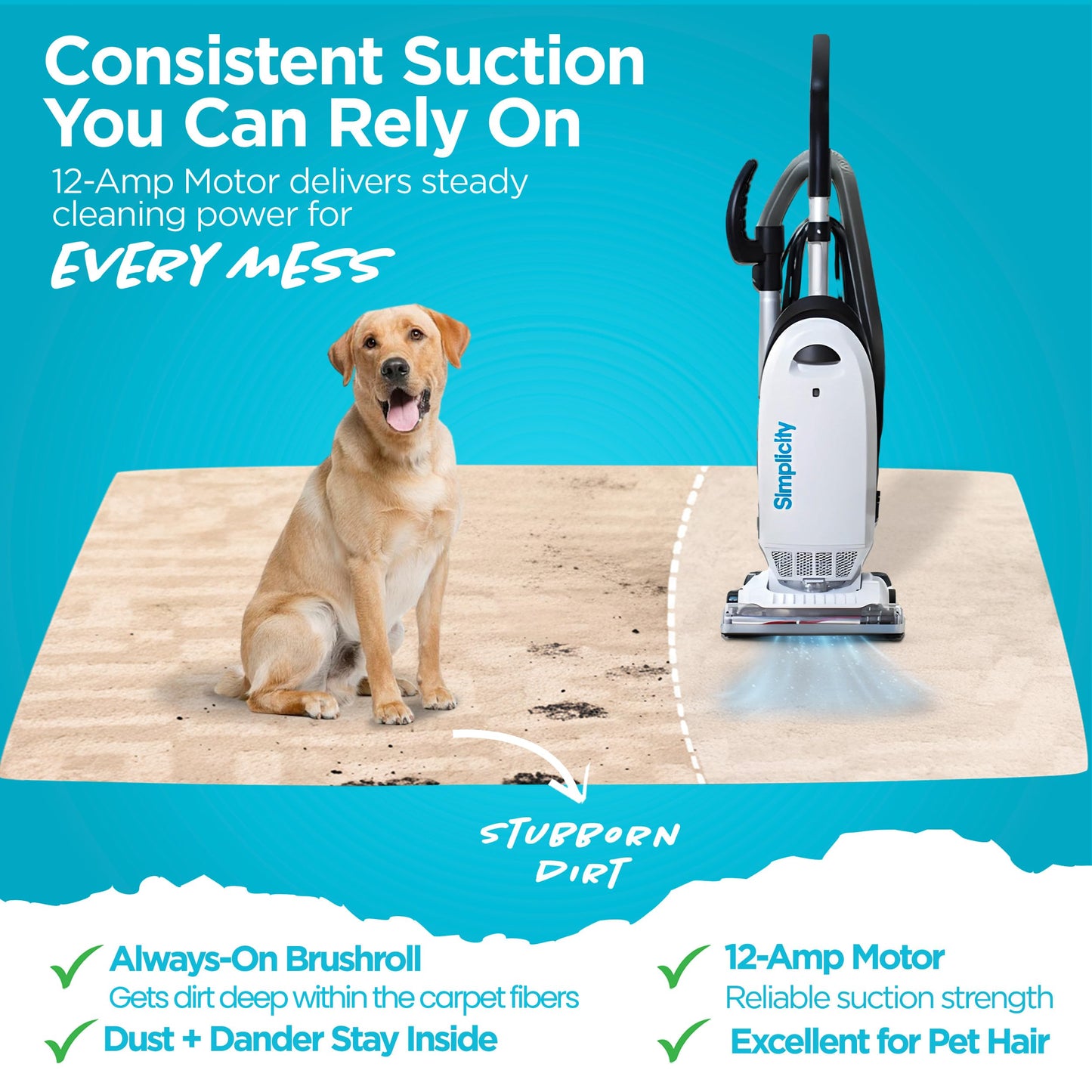 Simplicity Vacuums Allergy Pet Bundle | Bags & Filter Set Bundle | Upholstery Tool Bagged Vacuum Cleaner | Certified Hepa Vacuum | Pet Hair | S20EZM