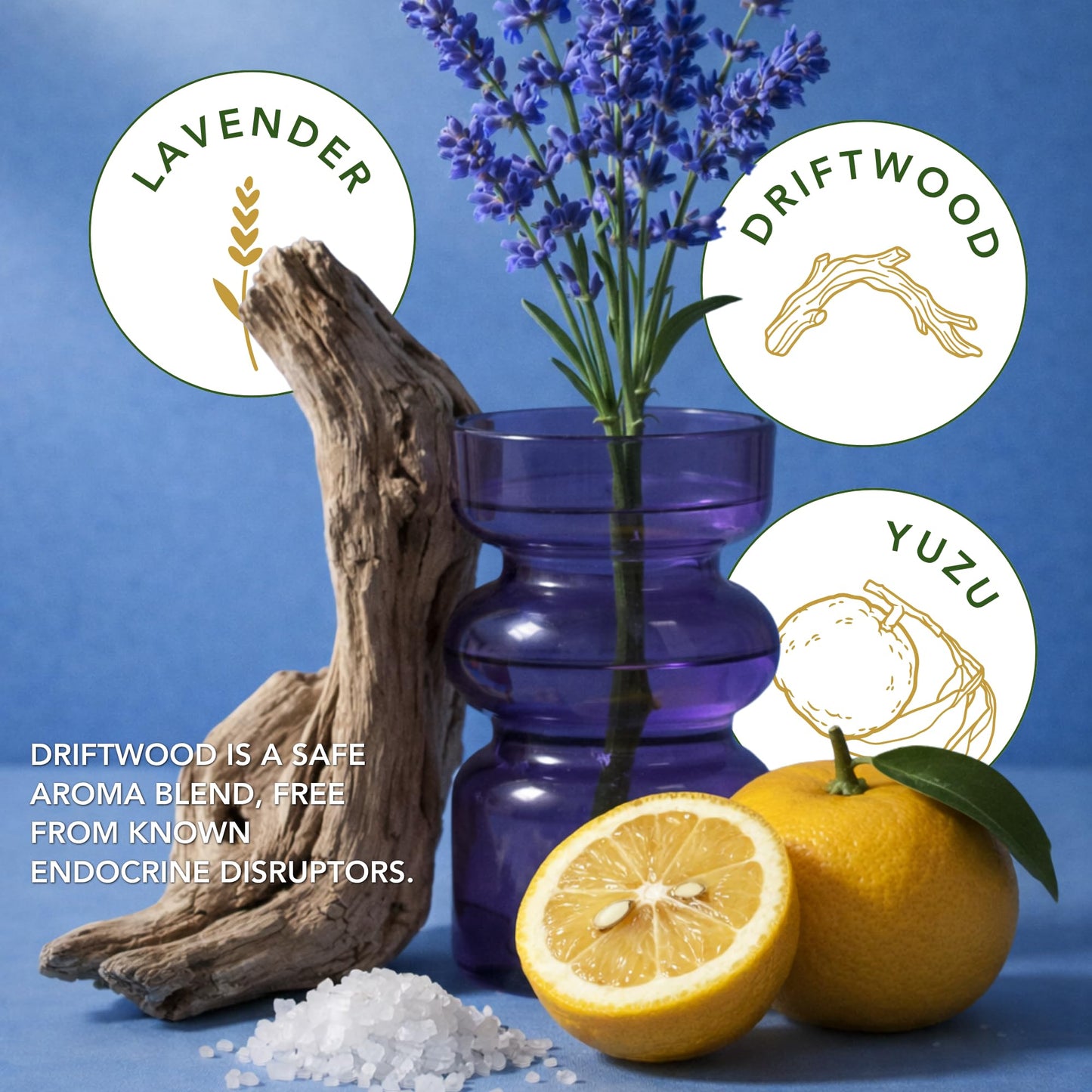 Coastal Breeze – Yuzu & Sea Salt Beeswax Candle, Non Toxic Scented Candle, Clean Burning Ocean & Beach Candle, Fresh Airy Summer Candle for Home, Gift for Women & Men - 5.5 OZ